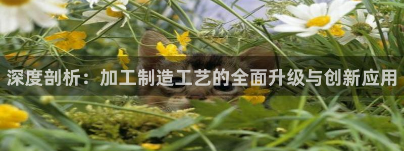 欧星娱乐怎么样
