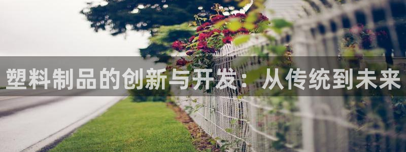 星欧娱乐平台主管