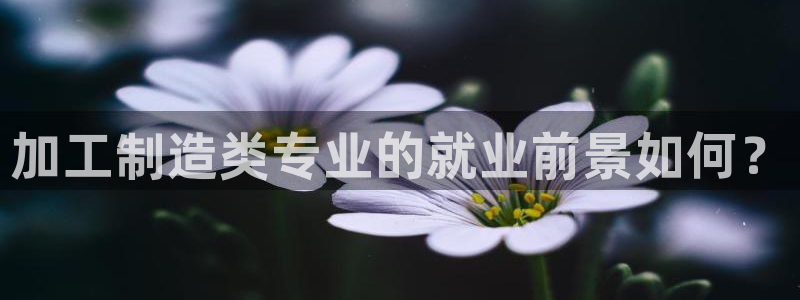 欧汇星娱乐