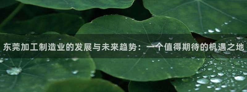 金欧岗星熠娱乐