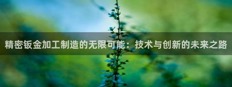 星欧娱乐官网