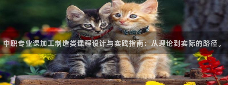 星饭娱乐欧豪