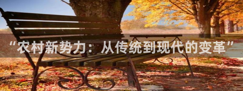 星欧娱乐平台是什么