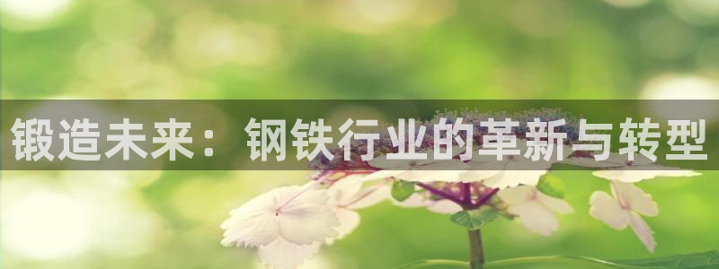 星欧娱乐注册