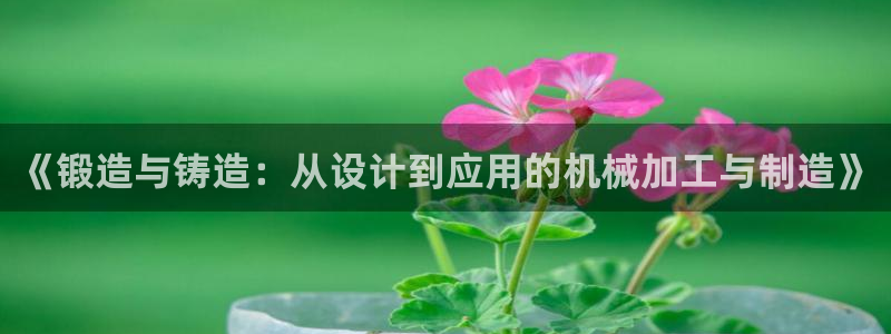 欧乐星城团购娱乐怎么样