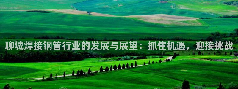 星欧娱乐平台注册