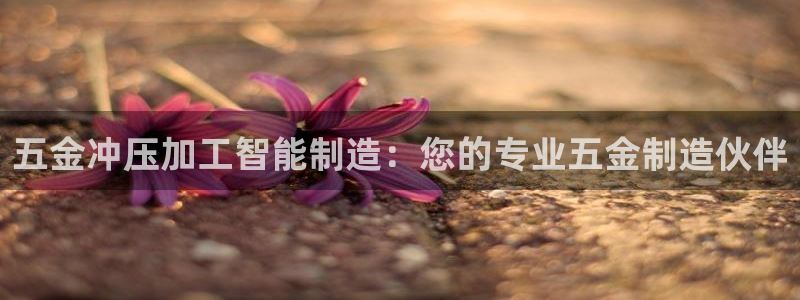 星欧娱乐平台注册入口