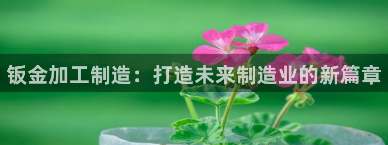 欧星娱乐棋牌官网