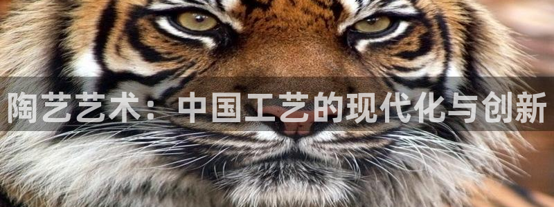 星欧娱乐经纪公司简介