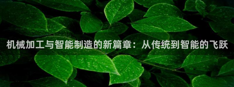 匠星娱乐政f下跪欧普软件园