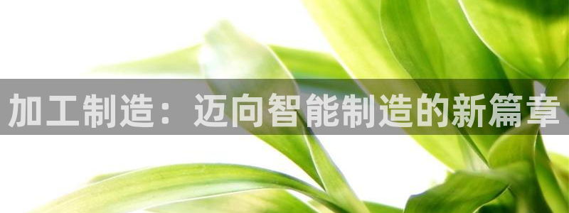 星欧娱乐官方网站客服
