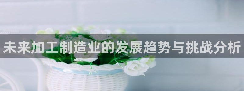金欧岗星熠娱乐