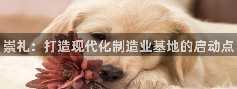 星欧娱乐雀V是什么平台