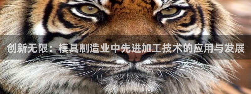 星欧娱乐老版本下载