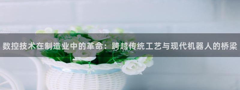 星欧娱乐平台主管