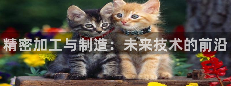 星欧娱乐公司电话号码