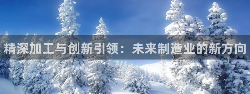 星欧娱乐平台官网入口