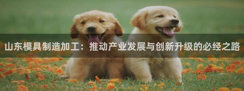 星欧娱乐注册资金多少