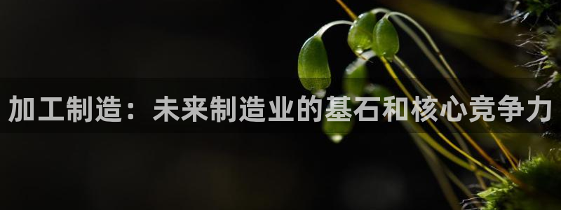 星欧娱乐是正规品牌吗