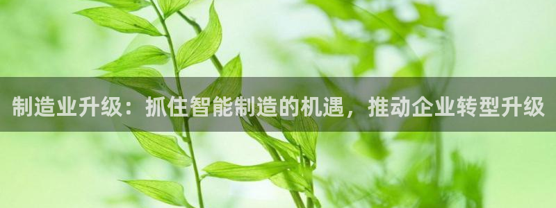 星欧娱乐官方客服电话
