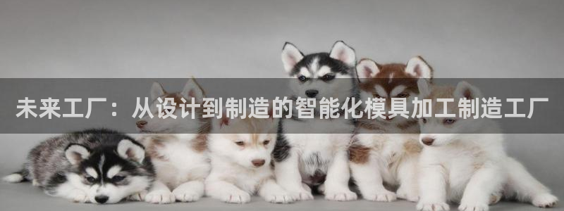 欧星开户娱乐