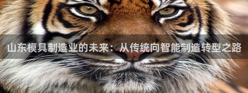 欧星娱乐主播
