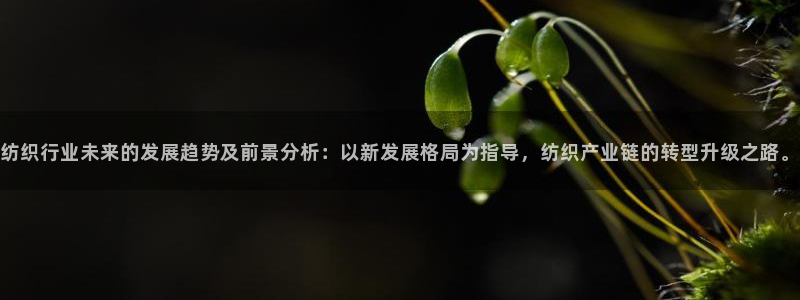 欧米星创文化娱乐