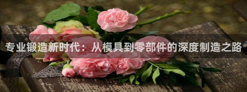 星欧娱乐登陆