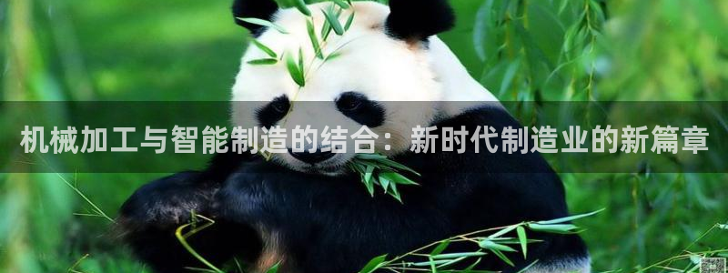 欧尼匠星娱乐