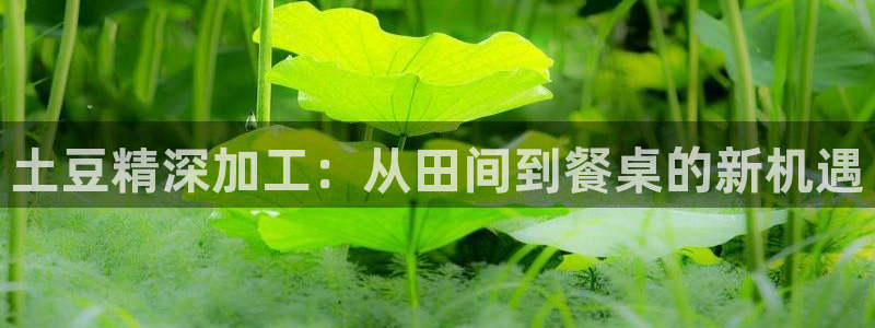 星欧娱乐注册章7O777