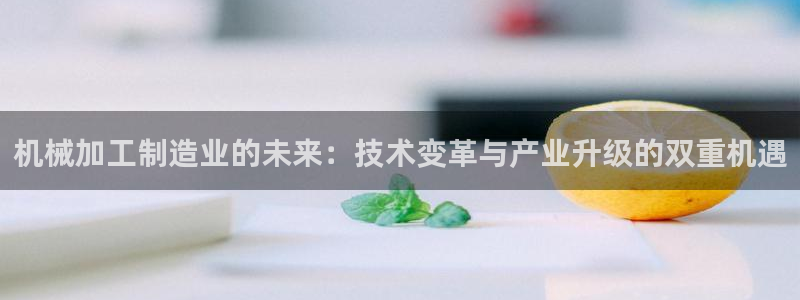 欧星娱乐的活动