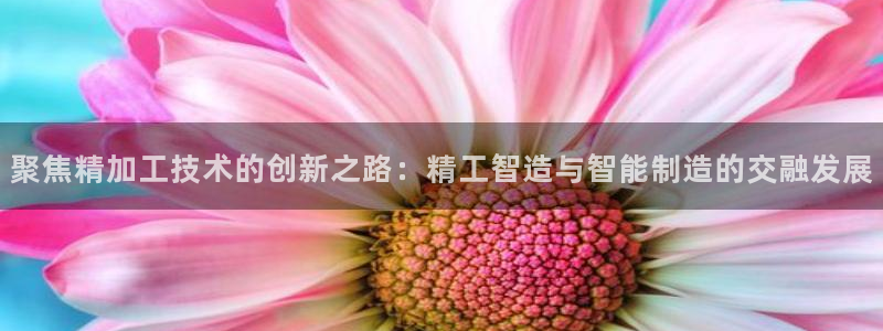 星娱乐online欧弟