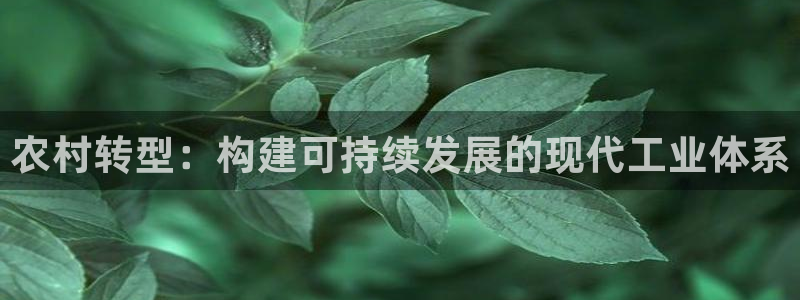 常州欧尚超市五星店娱乐