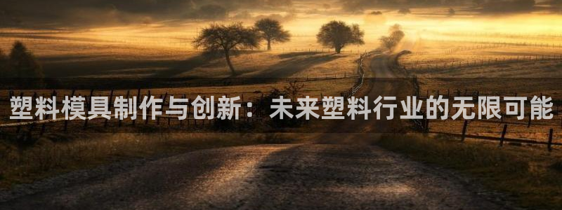星辉娱乐进入欧连杯