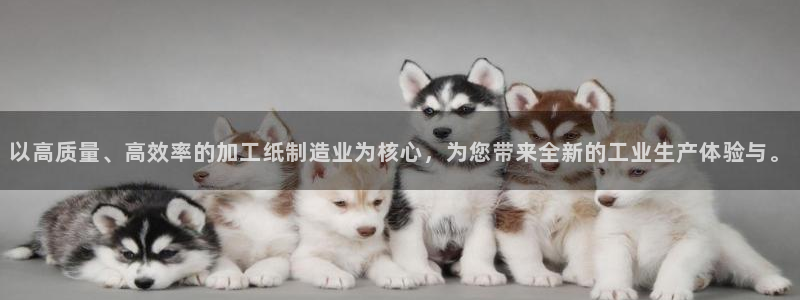 星欧娱乐招商81338