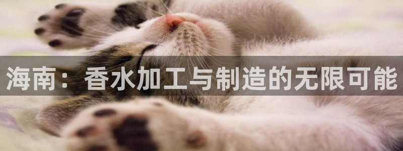 星欧娱乐用户登录中心