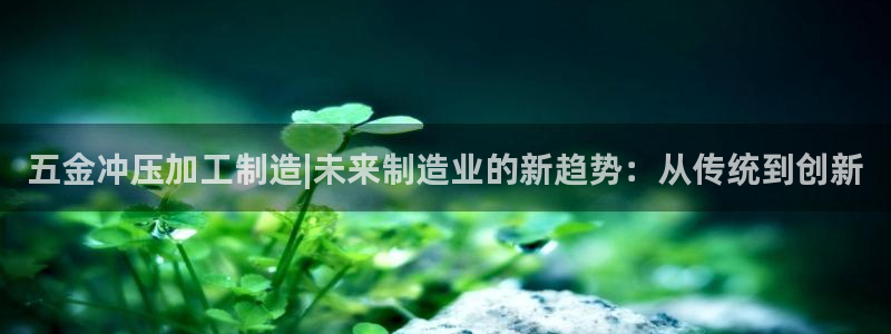 欧星娱乐的活动