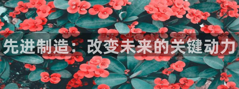 星欧娱乐