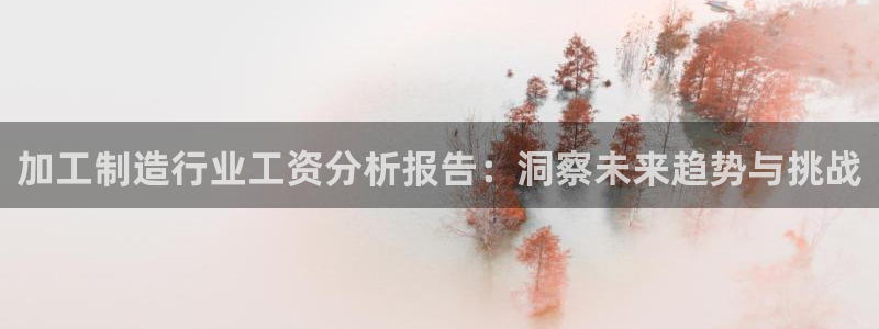 星辉娱乐进入欧联杯