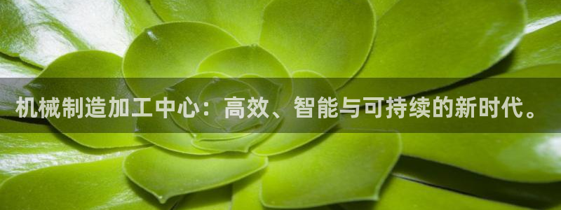 星辉娱乐进入欧连杯了吗