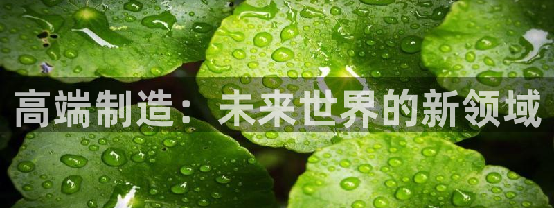 欧星娱乐的真实性