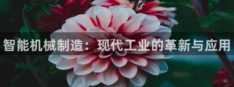 星欧娱乐注册开户