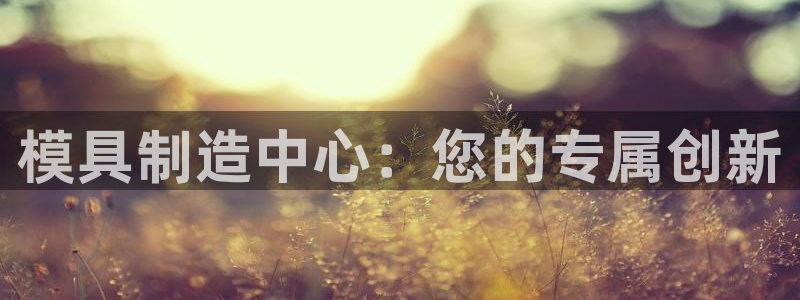 星辉娱乐进入欧联杯