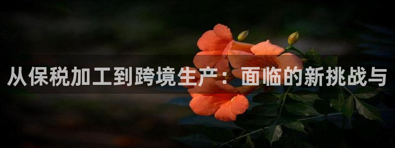 星欧娱乐是什么