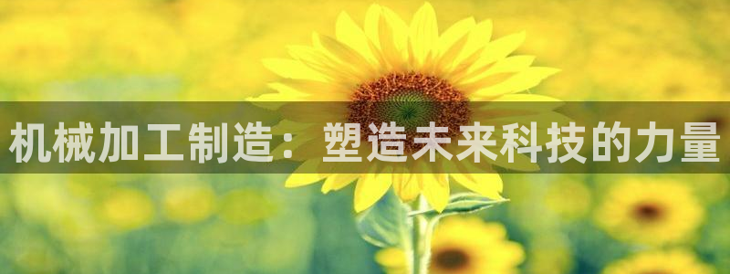 星饭娱乐欧豪是谁