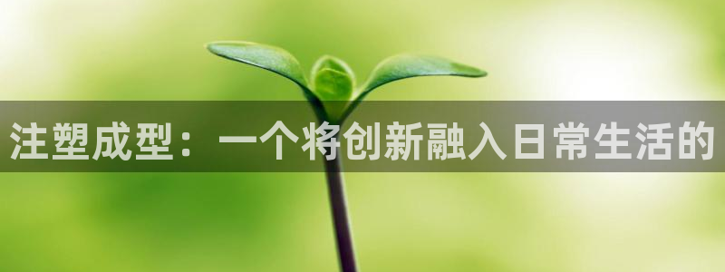 欧联杯正赛星辉娱乐