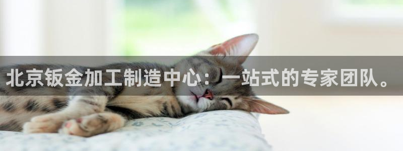 星欧娱乐官方客服电话