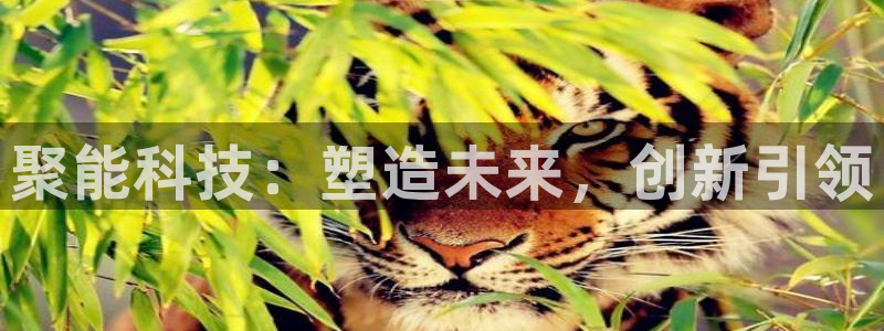 星欧娱乐官网免费下载